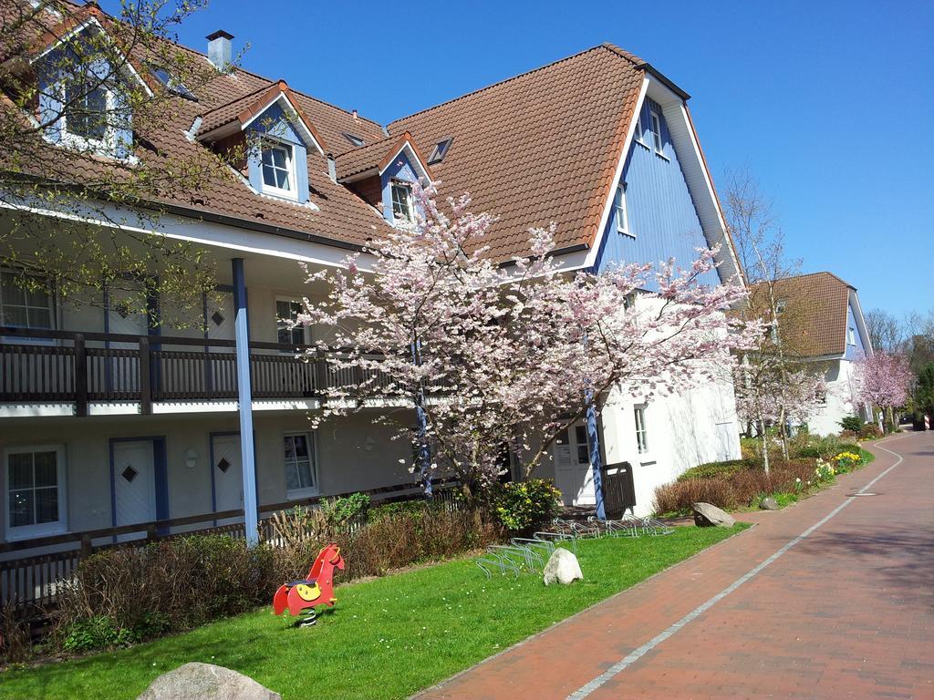 Ferienwohnung Ortlieb 拉博埃 外观 照片